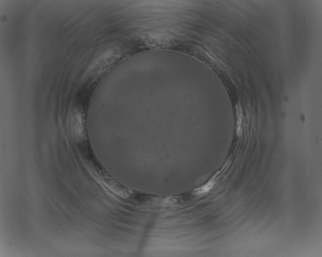 X0000070190130200605301322