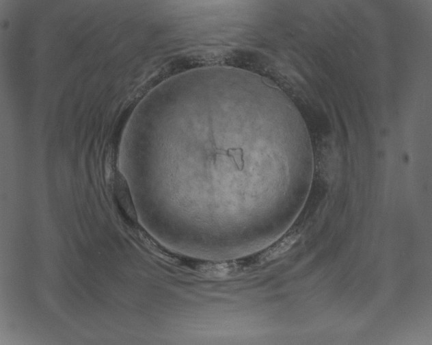 X0000070190131200605301322