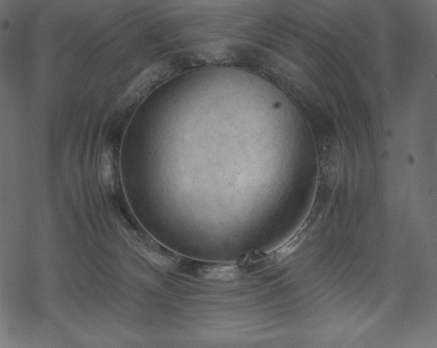 X0000070190132200605301322