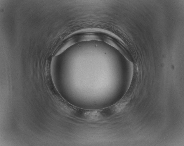 X0000070190133200605301322