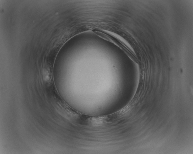 X0000070190134200605301322