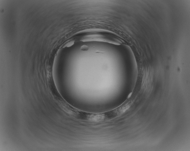 X0000070190135200605301322