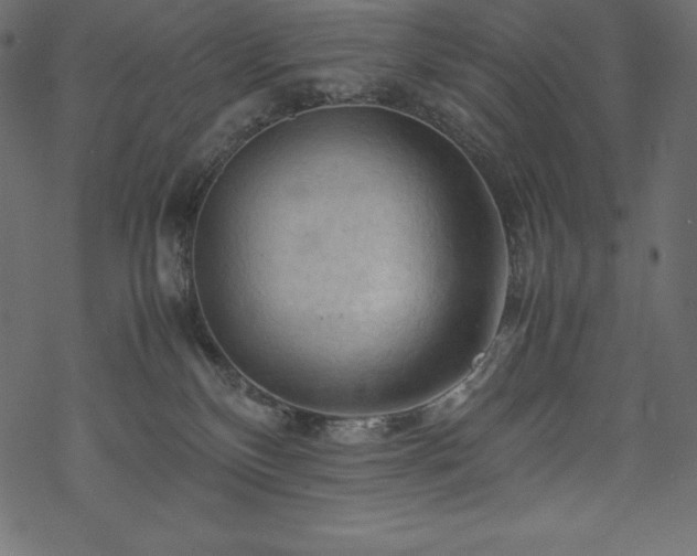 X0000070190136200605301322