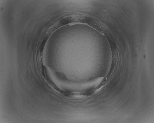 X0000070190137200605301322