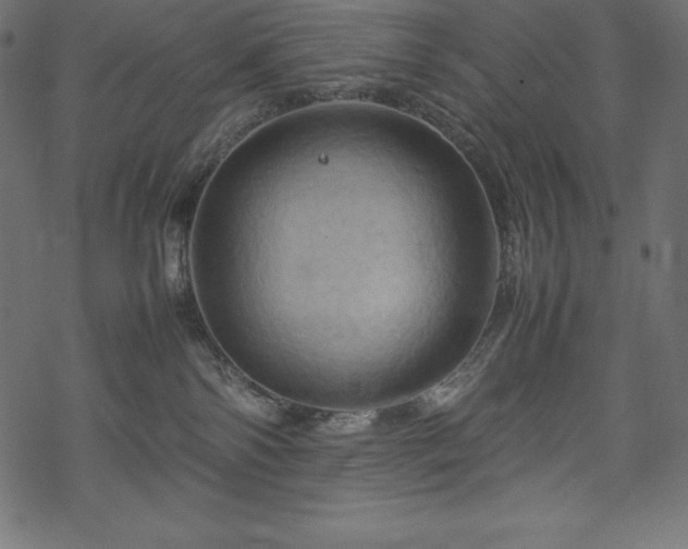 X0000070190138200605301322