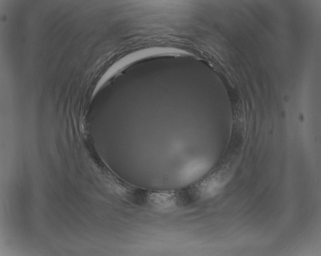 X0000070190139200605301322