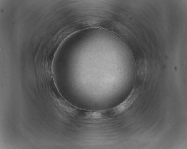 X0000070190140200605301322