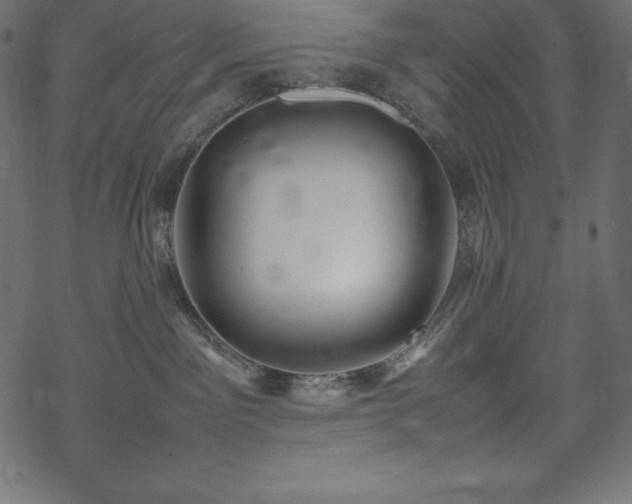 X0000070190141200605301322