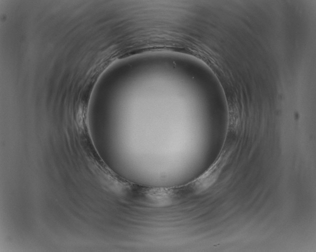 X0000070190142200605301322