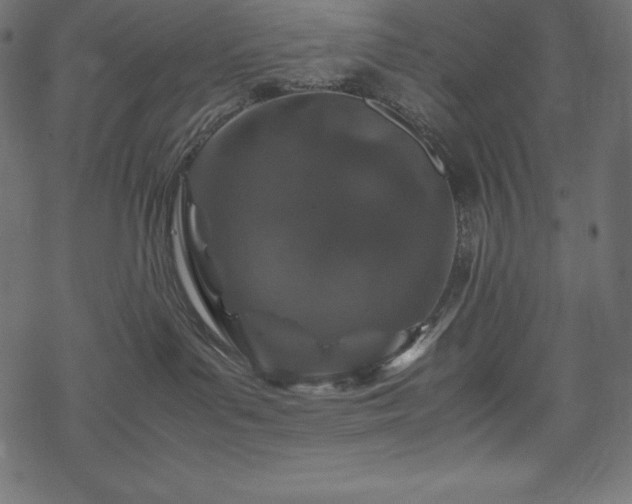 X0000070190143200605301322