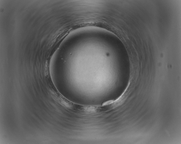 X0000070190144200605301322