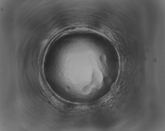 X0000070190145200605301321