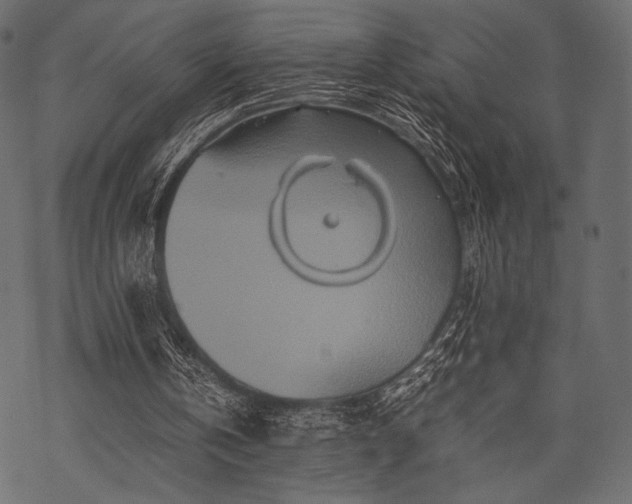 X0000070190146200605301321