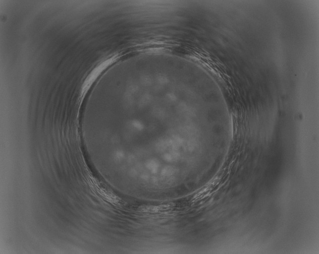 X0000070190147200605301321