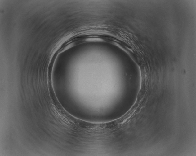 X0000070190148200605301321