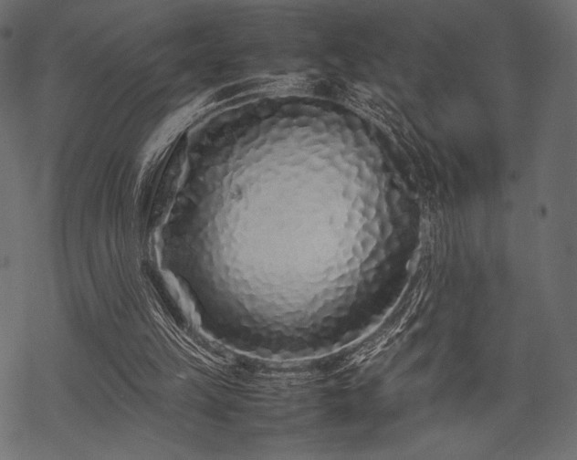 X0000070190149200605301321