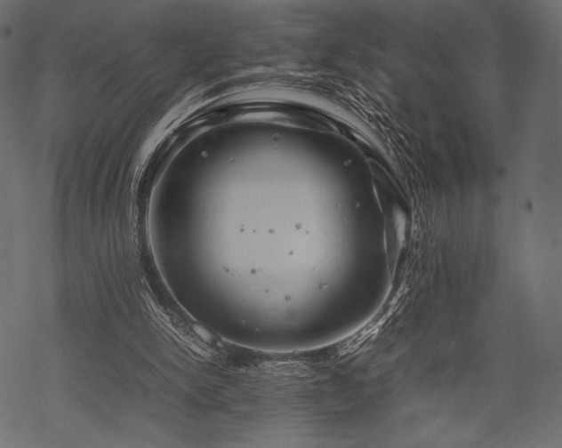 X0000070190150200605301321