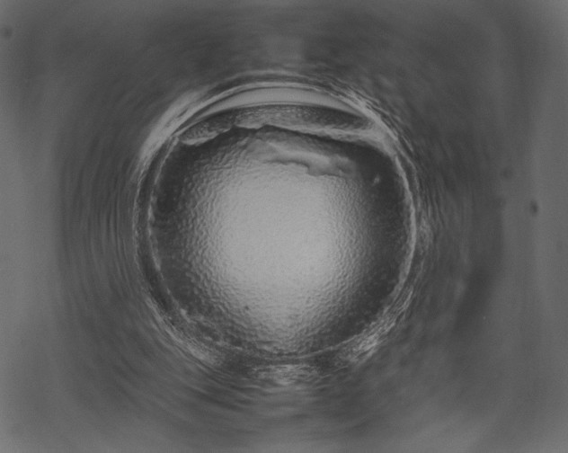 X0000070190151200605301321