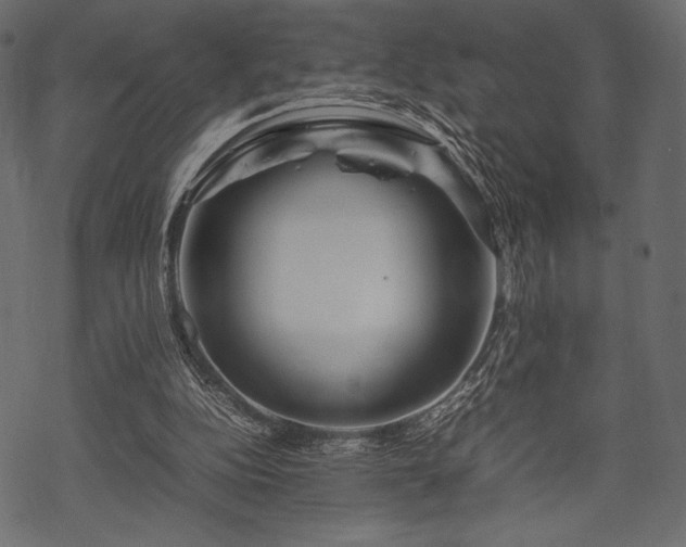 X0000070190152200605301321