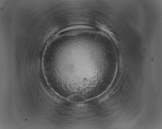 X0000070190153200605301321