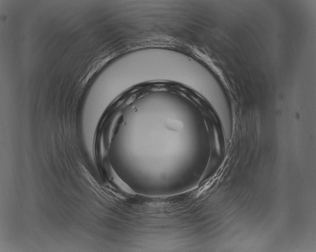 X0000070190154200605301321