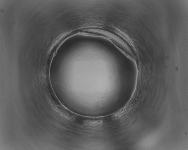 X0000070190155200605301321