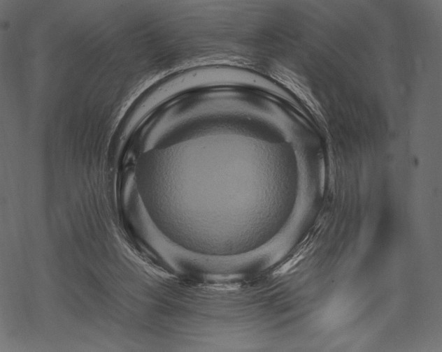 X0000070190156200605301321