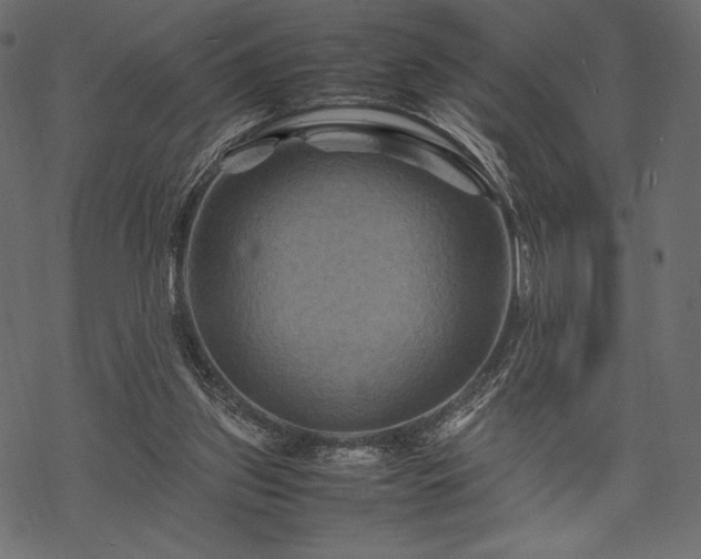 X0000070190157200605301321