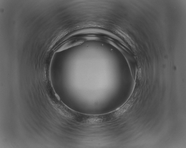 X0000070190158200605301321