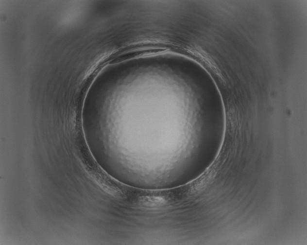 X0000070190159200605301321