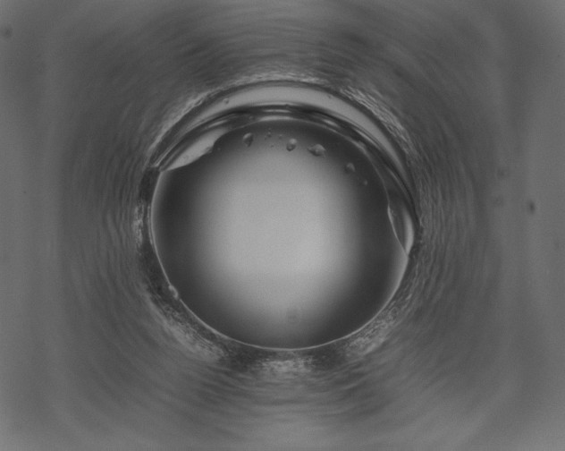 X0000070190160200605301321