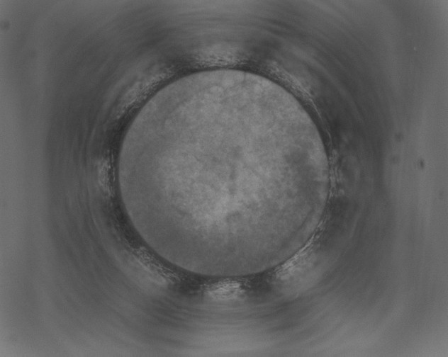 X0000070190162200605301321