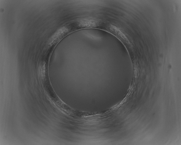 X0000070190163200605301321