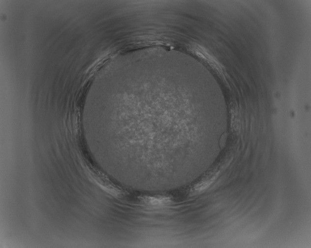 X0000070190165200605301321