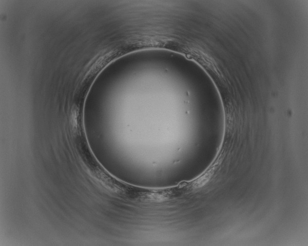 X0000070190166200605301321