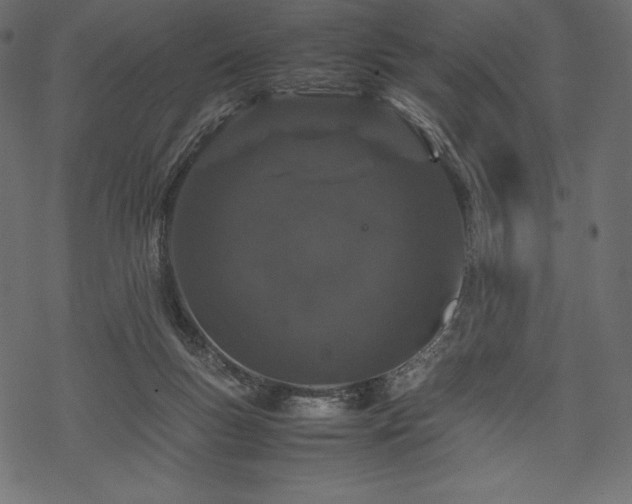 X0000070190167200605301321