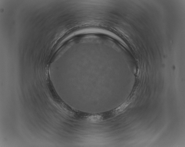 X0000070190168200605301321