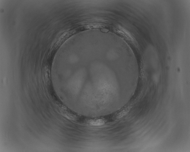 X0000070190169200605301321