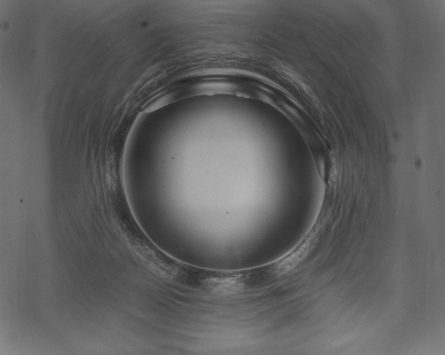 X0000070190170200605301321