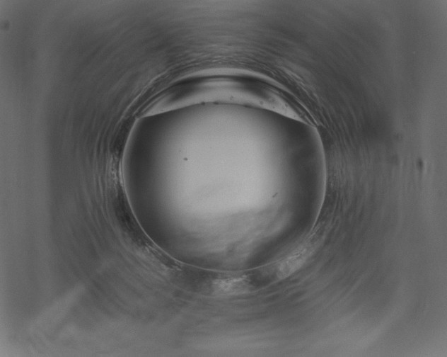 X0000070190172200605301321