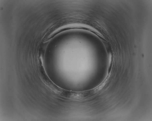 X0000070190174200605301321