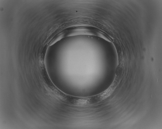 X0000070190176200605301321