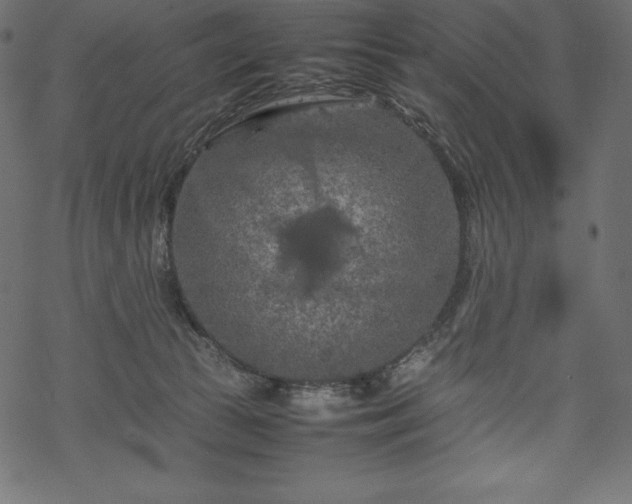 X0000070190177200605301321