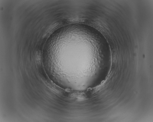 X0000070190179200605301322