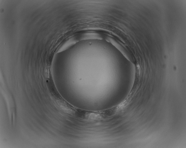 X0000070190180200605301322