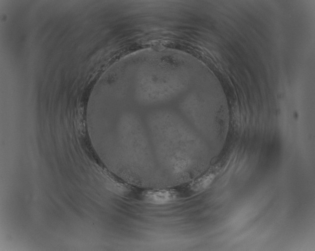 X0000070190181200605301322