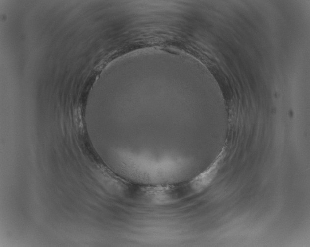 X0000070190182200605301322