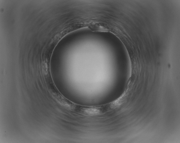 X0000070190183200605301322