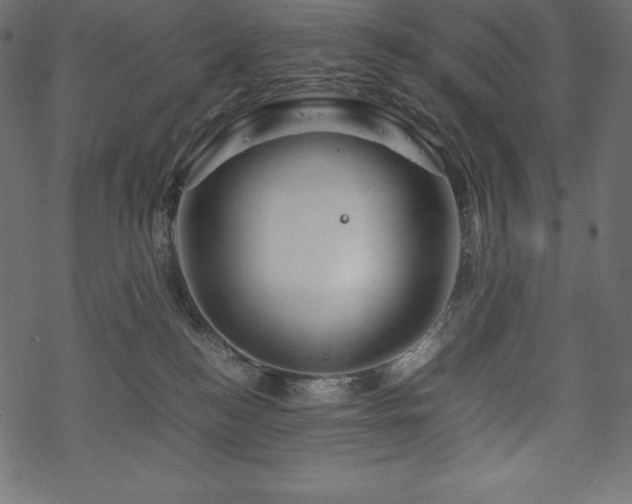 X0000070190184200605301322