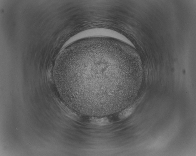 X0000070190185200605301322